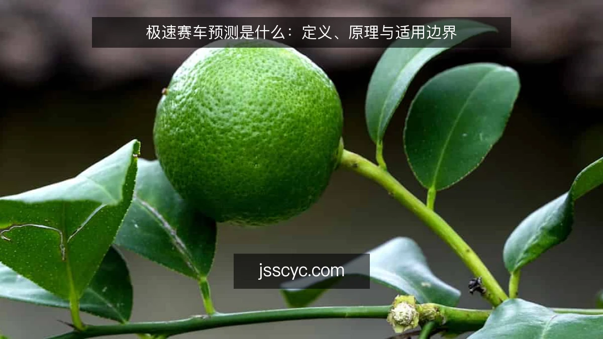 极速赛车预测是什么:定义、原理与适用边界