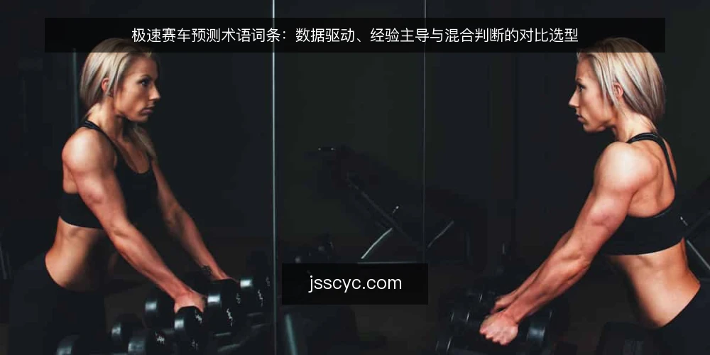 极速赛车预测术语词条：数据驱动、经验主导与混合判断的对比选型 — 判断路径的选型标准 配图